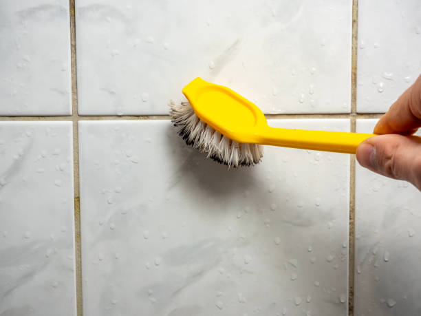Best Preventive Mold Services in Desloge, MO